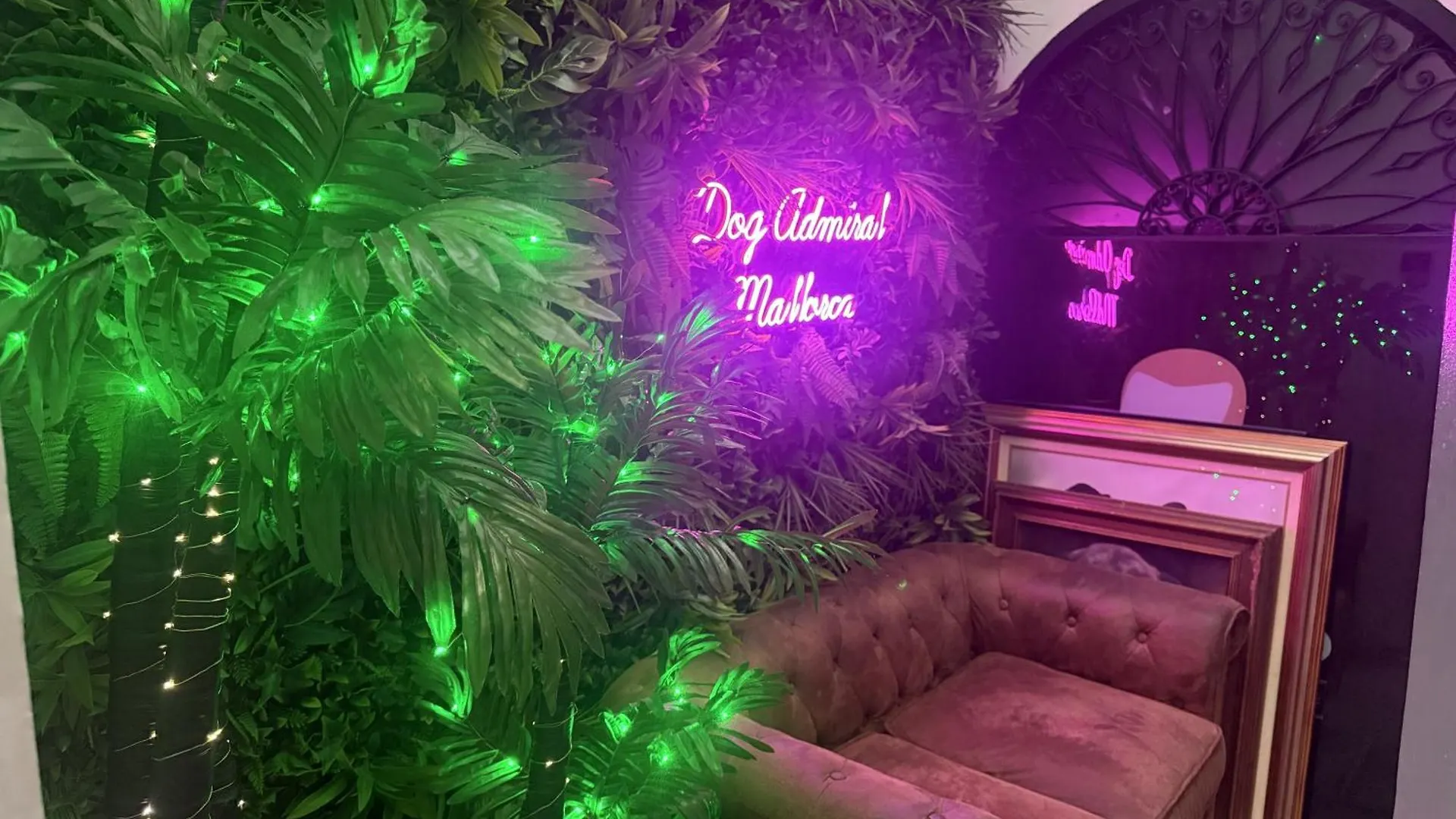 Dog Admiral - Urban Guest House Palma de Mallorca Spain