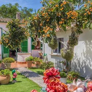 Casa Vileta Hébergement de vacances