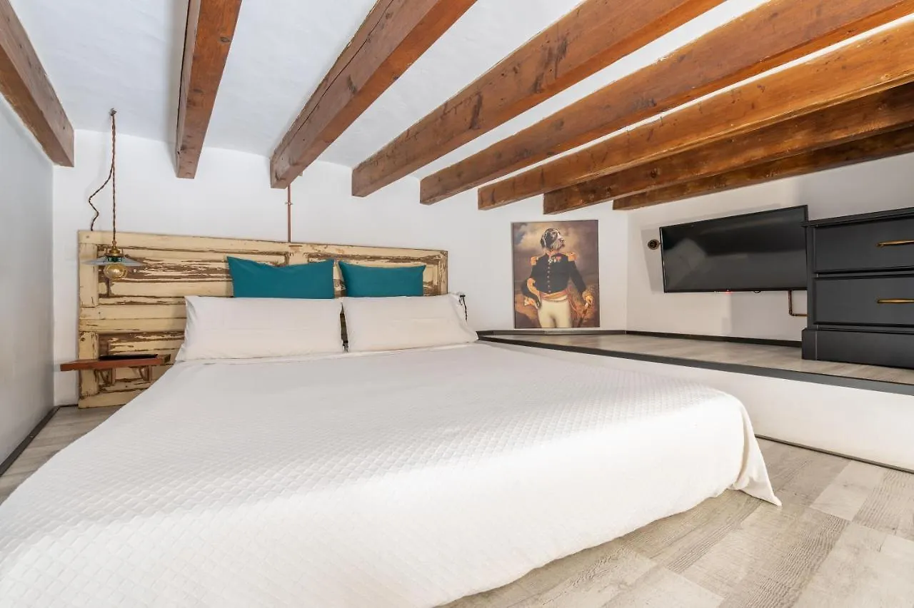 Dog Admiral - Urban Guest House Palma de Mallorca Homestay
