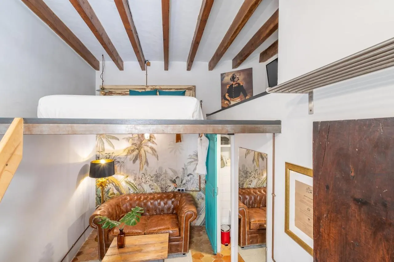 Dog Admiral - Urban Guest House Palma de Mallorca Spain