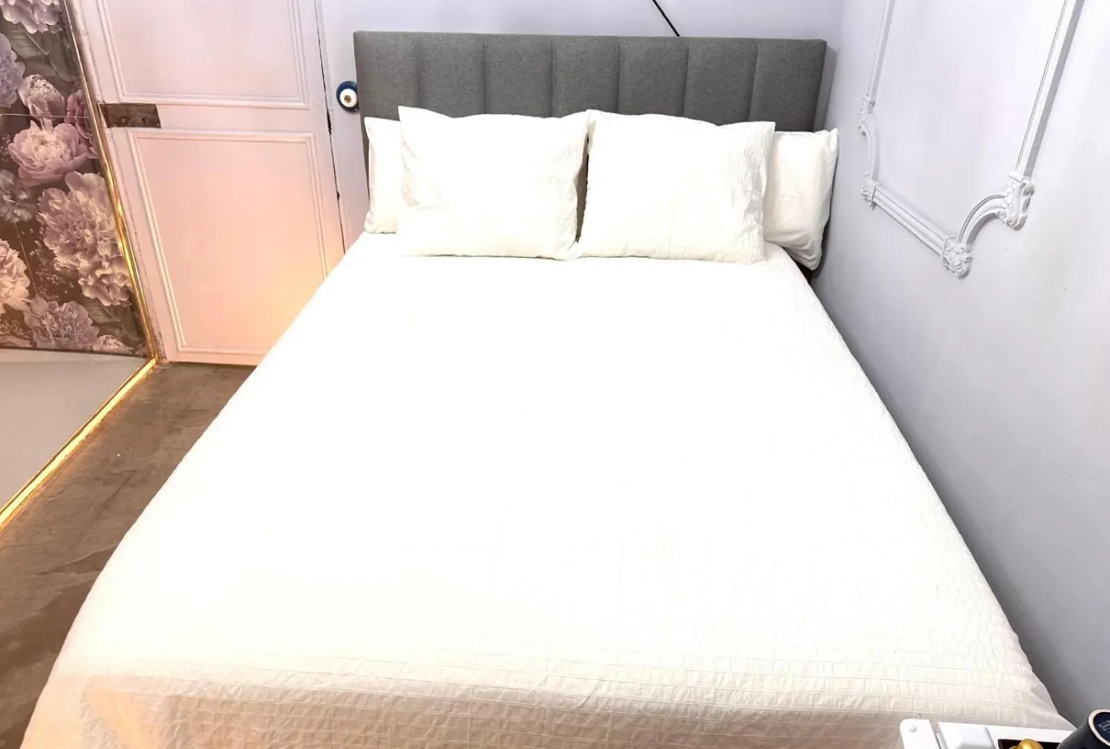 Dog Admiral - Urban Guest House Palma de Mallorca Homestay