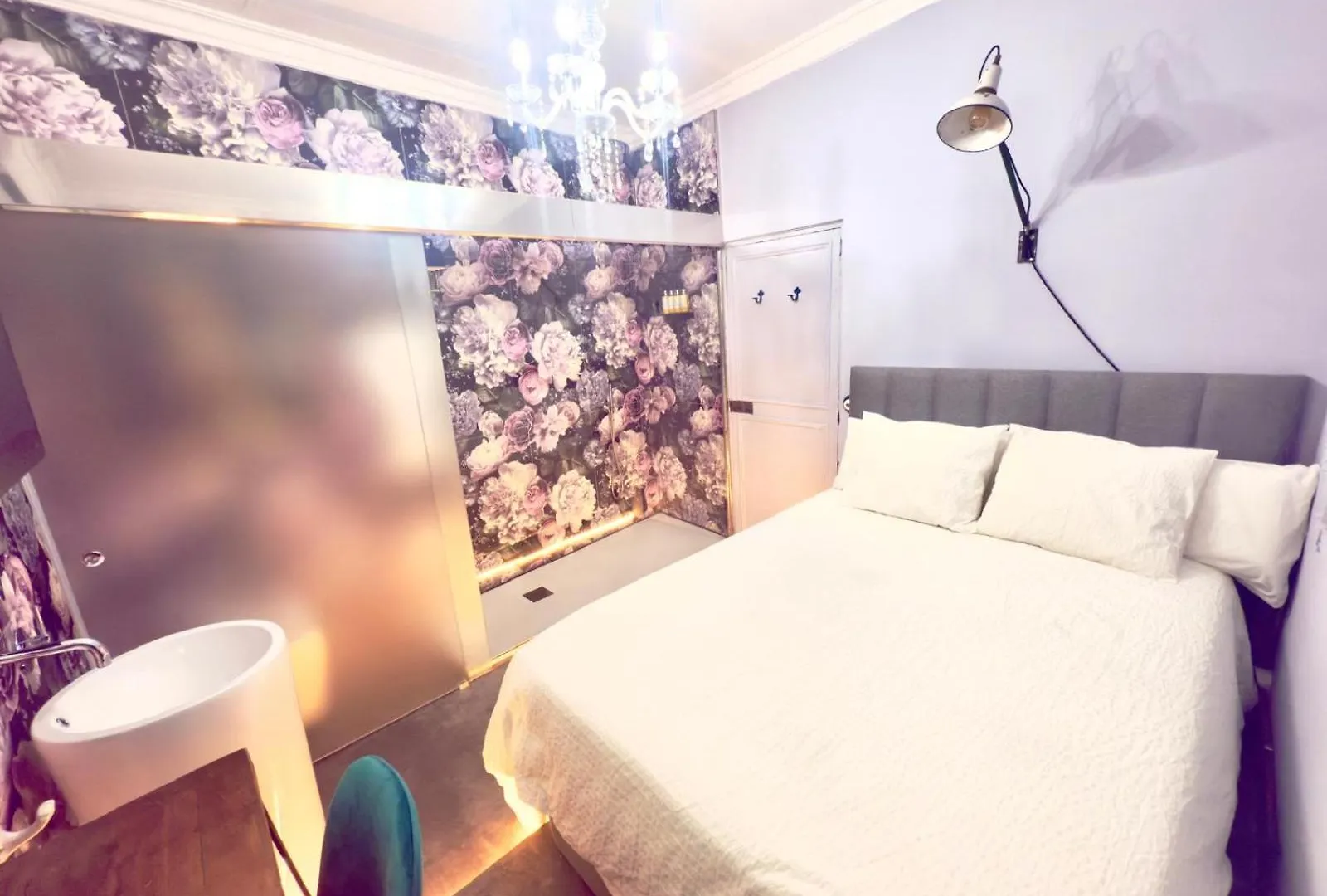 Dog Admiral - Urban Guest House Palma de Mallorca Homestay